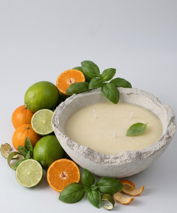 Bowl of creamy dessert with citrus fruits and basil leaves on a white background