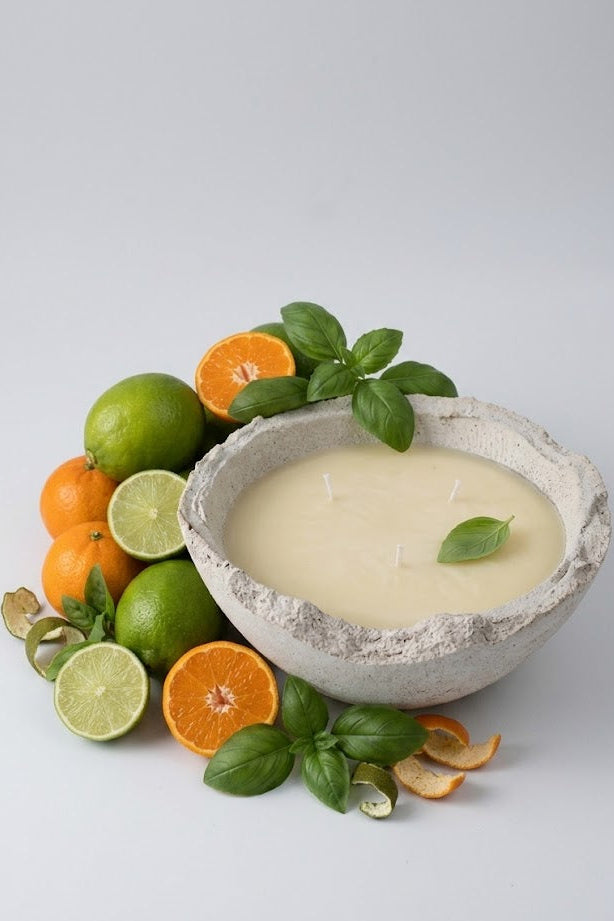 Bowl of creamy dessert with citrus fruits and basil leaves on a white background