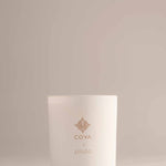 Coya x pluto - Jungle, pluto. collaboration candle, Dubai