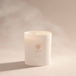 Coya x pluto - Jungle, limited edition collaboration candle by pluto. Dubai